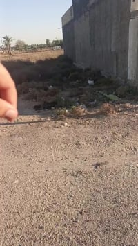 قطعة ارض ٢٠٠ متر  الدورة بدايه هورجب  قرب السريع الجديد وسريع غزة سند ...