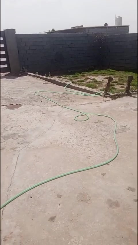 @إشارة 
بيت للبيع في بابل حصوه حي عداي بل زراعي مساحه الف و600 متر بيه معاملة تطويب البيع على المكتوبه السعر مناسب للاستفسار الاتصال على الرقم
‏‪773 507 0902‬‏0


**إذا كنت صاحب هذا الإعلان وتريد حذفه لأي سبب، رجاءا أرسل رسالة إلى الدعم الفني**
