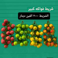 أدوات منزلية • درجة أولى • مركز ذي قار