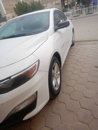 ماليبو • ٢٠١٩ • رقم بغداد