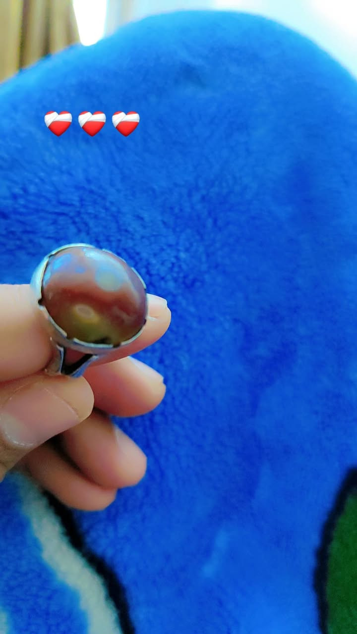 محبس للبيع مشروط اغاني قضاء النصر***********
