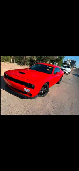 بسم الله ماشاء الله ( للبيع )
جالنجر RT 2023هيمي 5.7  كير عادي 

تشوفه غاليه عليك اتركه مو الك السياره 

فقط للجنايه واصحاب الاستعراض والساحات

2023 الون مميز.Orange برتقالي

السياره ماشيه 2000mil  اخت الزيرو

قطعتين صبغ اماميه بنيد+ جاملغ 

وبيه بارد  ربع الباب الصدر وربع جاملغ الخلفي

السياره كير عادي يعني طرب اونسه بالساحات ع اخر حبه

منفيس ابسمي دخول جديد السياره

السعر بدون رقم 175ورقه 

مكانه بغداد 

***********
