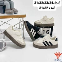 البصرة • تصفية • القياسات بالصور