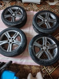 البيع تخم ويل كب حجم 17 مال كورله اس السعر 300 07807034704