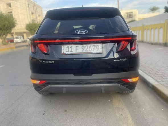 فول الفول هايبرد ٢٠٢٣ للبيع *********** قطعه واحده صبغ بنيد
