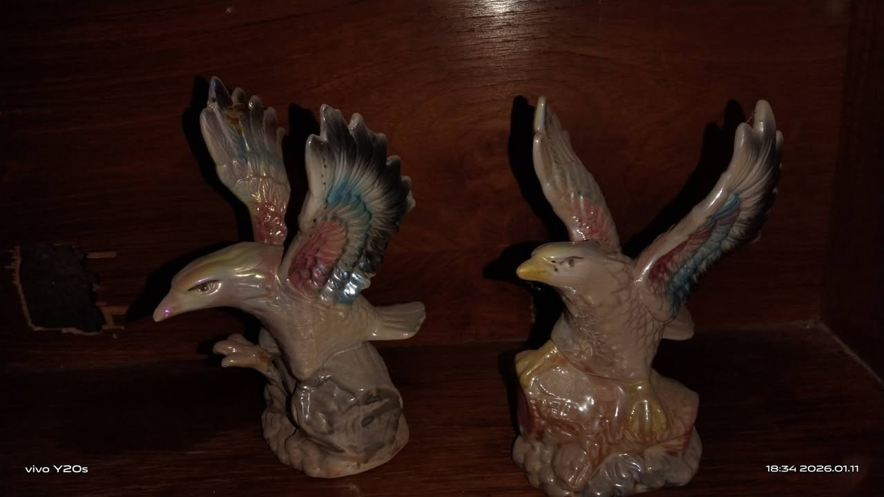 الــسلام عـلــــيكم
للبيع تحفيات شلع مفرد مابيع 
الاستفسار الاتصال على الرقم التالي 
*********** واتساب
