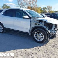 إكوينكس • ٢٠٢٤ • بدون صبغ