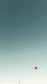 سكنر • ٤ كير • اوراق