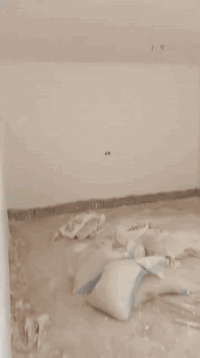 كادر بيضجيه شغل درجه اولى متفرق حالين ***********
