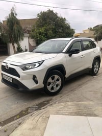 راف فور • ٢٠١٩ • بدون صبغ