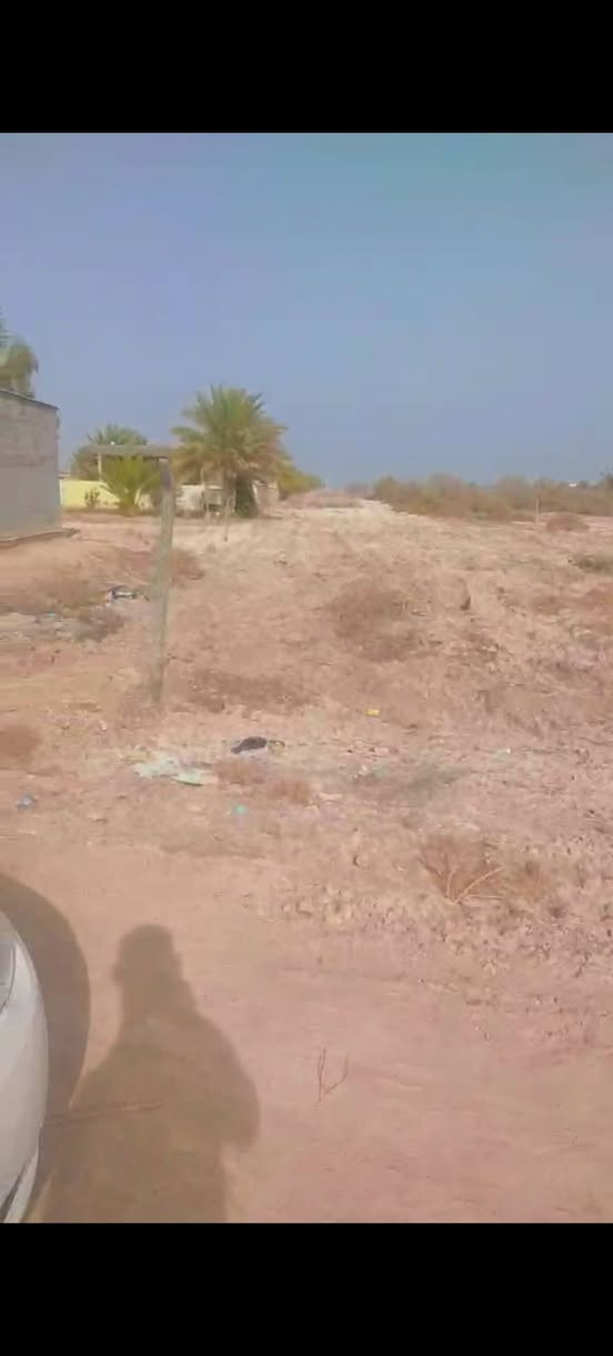 14 دونم طابو زراعي سند 25 باسم شخص واحد
بابل خيكان الغربي 
وجه الارض على شارع خيكان الغربي 23 متر 
السعر كلش مناسب (( الدونم ب15 مليون ))
***********
