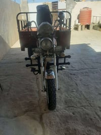 ستوته امتيار • موديل ١٣ • أوراق مكفولة