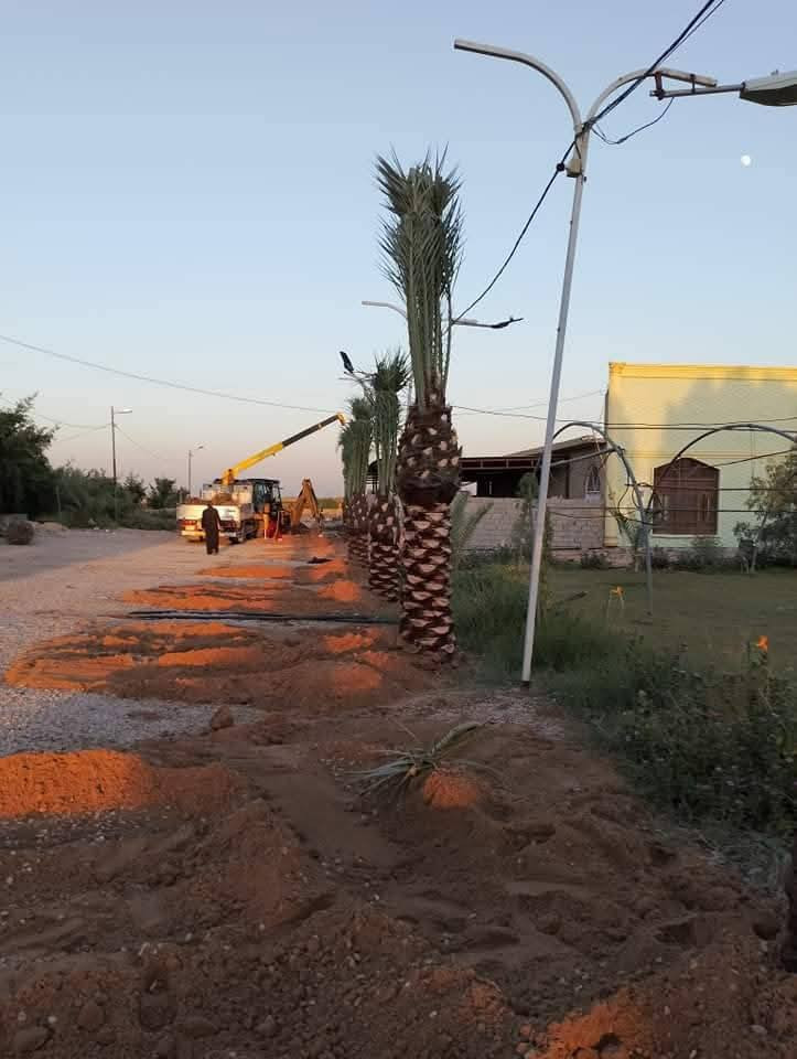 السلام عليكم  كادر متخصص لتجهيز المزارع والمنتجعات والمسابح  تجهيز الحدائق والبساتين تشجير الحدائق تشجير البساتين لدينا جميع انواع النخيل  مكتوم جبجاب بريم بلكه بربن جميع انواه النخيل و ترتيب الاراضي المتروكه وتسميدها بالسماد الحيواني.. عنوان كربلاء وباقي المحافظات الي عنده عدد كبير من نخيل نتفق ونجي ***********
