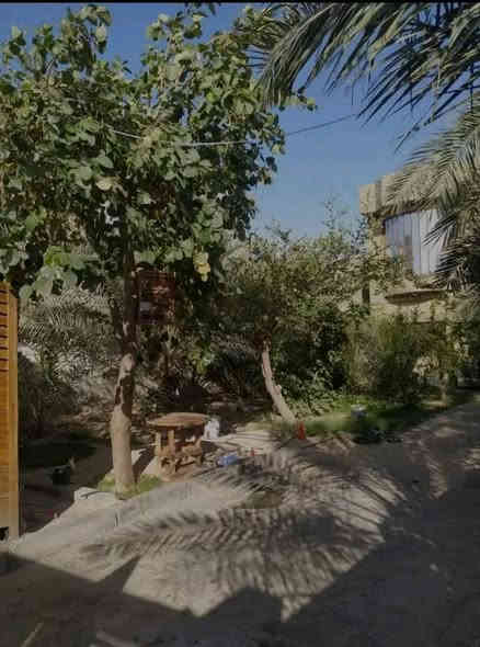 بسم الله الرحمن الرحيم اسعد الله اوقاتكم احبتي يتوفر لدينا بيت للبيع طابو زراعي عراقي تحويل مساحة 500 متر البيت قاطين يتكون من 4 غرف وديوان وصاله ومطبخ صحيات كراج وحديقة عنوان البصره ابو الخصيب مقابيل حي بغداد السعر 230 ***********.      ***********
