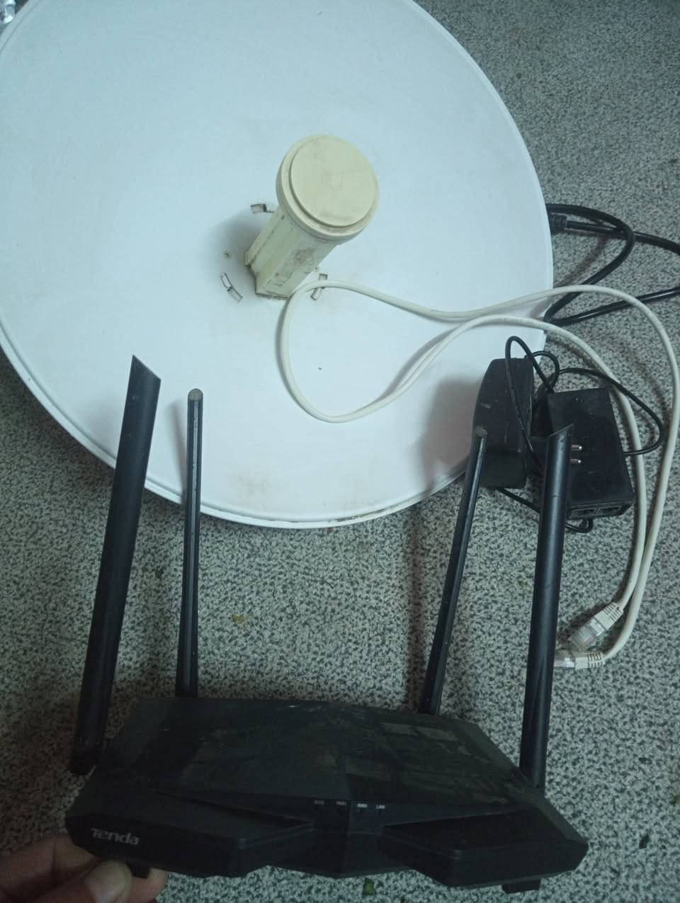 في الشطرة ***********
