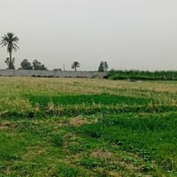 يتوفر 5 دوانم طابو سند 25 تحويل ثاني يوم بسم المشتري العنوان المدائن ا...