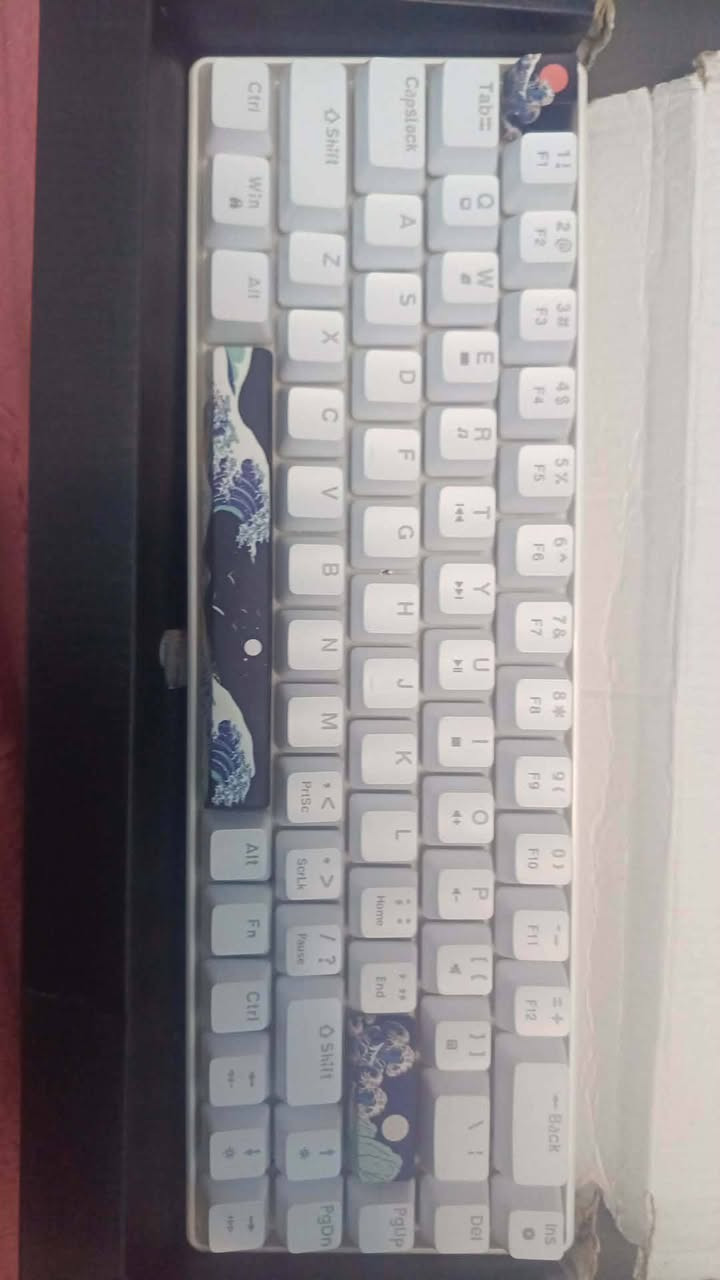 كيبورد ميكانيك سوج احمر 25 مع توصيل


**إذا كنت صاحب هذا الإعلان وتريد حذفه لأي سبب، رجاءا أرسل رسالة إلى الدعم الفني**