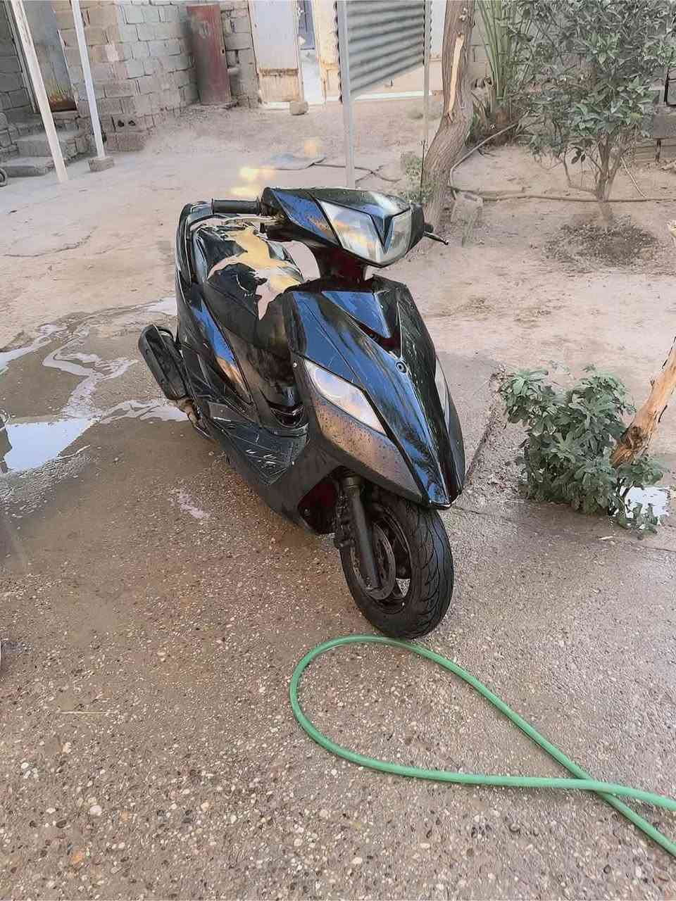ثعلب للبيع مابيه اي نقص جديده سعر300الف
***********
