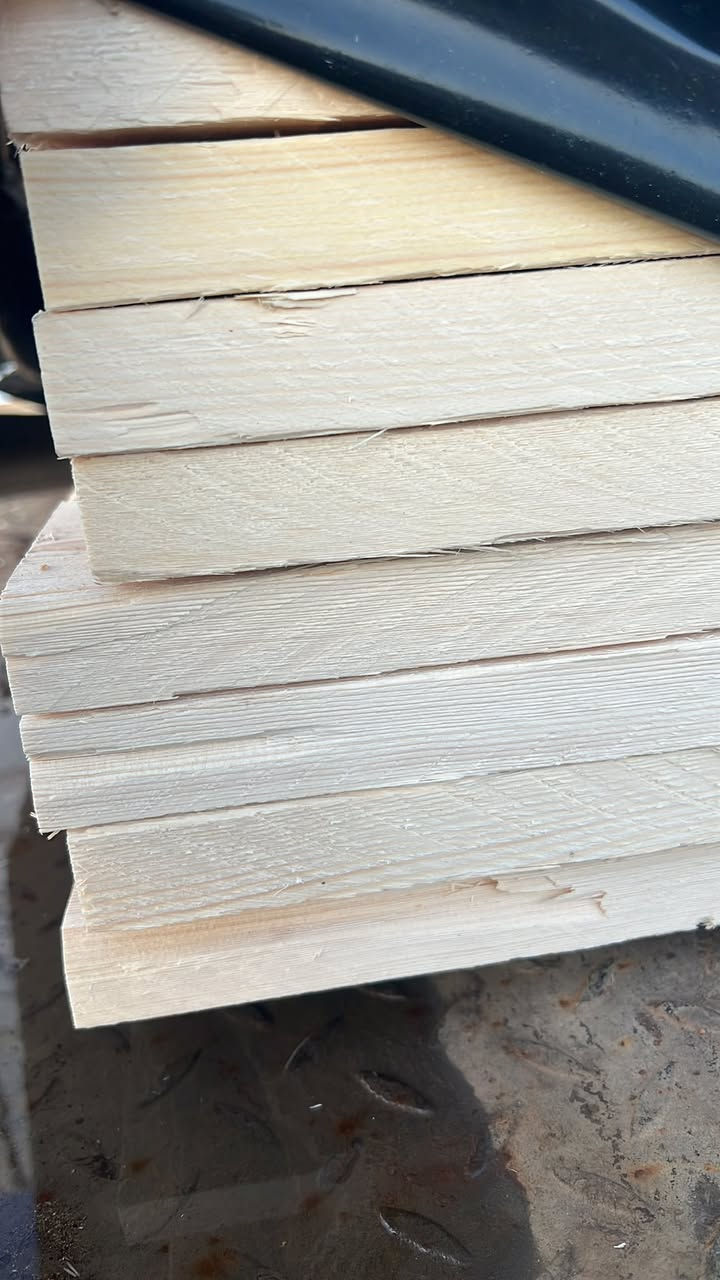 ***********
***********
***********
السلام عليكم 
لوح روسي لوزه درجه اولى
