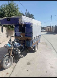 ستوته • موديل ١٨ • أوراق كاملة