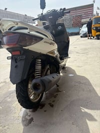 شبابنه الطيبه سكنس فحل طلاعات جديده بجيس   كفاله عامه اوبلعافيه ع ياخذ...