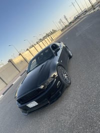 موستنك ٢٠١٤  v6 • فئة بريميوم  • حادثها جاملغ وبنيد مصبوغة — حزام وكلش...