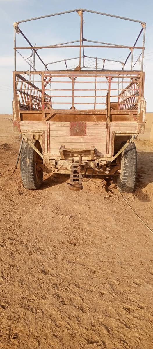 عربانه للبيع 
وواتساب واتصال ***********
مكانها ببعاج مجمع الجغيفي 
مو شراي لاتتعبن ولا اتعبك
