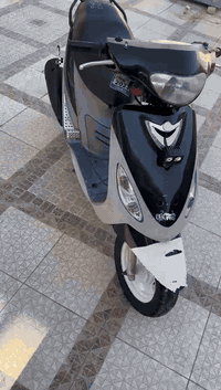 سلام عليكم دراجه ماكس منغولي له بيع مكفوله من كلشي دراجه كهربائيت كله شغاله نكرت سلف مديل 2006 مكان السماوه الوركاء رقم *********** متواجد ع خاص
