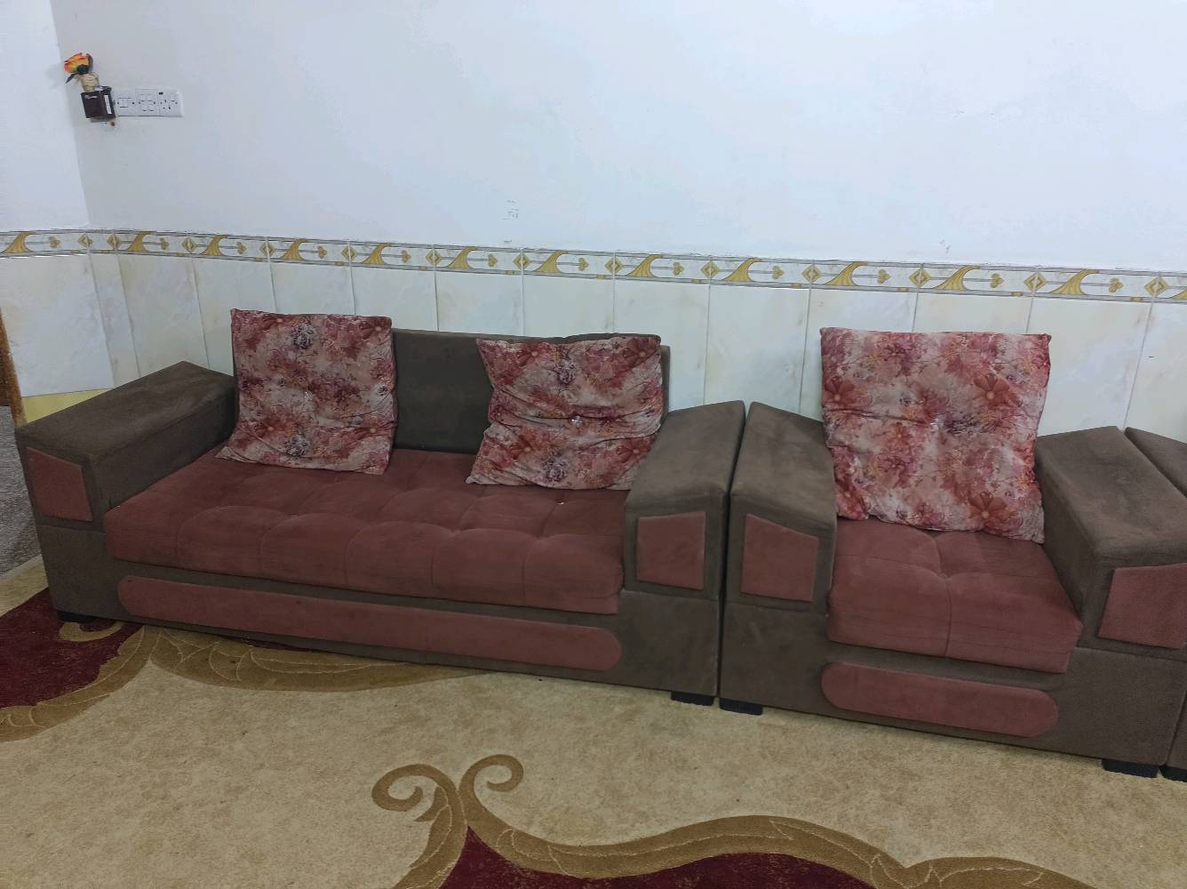 تخم نضيف تسكام 10مقاعد المكان الزهراء السعر 200