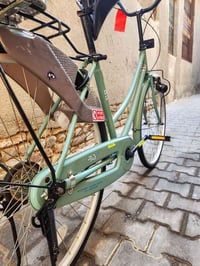 باسكل • للبيع • خاص