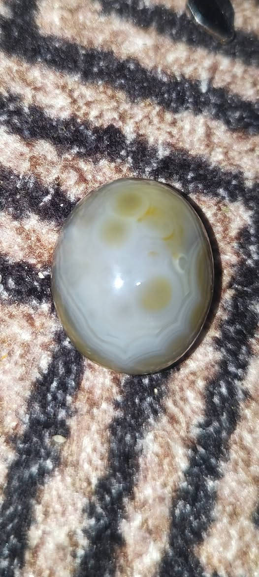 سلام عليكم للبيع قيم وأخذ والعافية عليك


**إذا كنت صاحب هذا الإعلان وتريد حذفه لأي سبب، رجاءا أرسل رسالة إلى الدعم الفني**