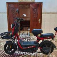شجن • مستعمل قليل • ٢٥٠
