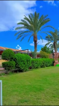 متوفر حجز الخميس الدوره البوعيثه موجوده بتطبيق اجرلي 07750379852