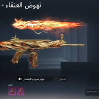 ببجي • حساب • مستوى 69