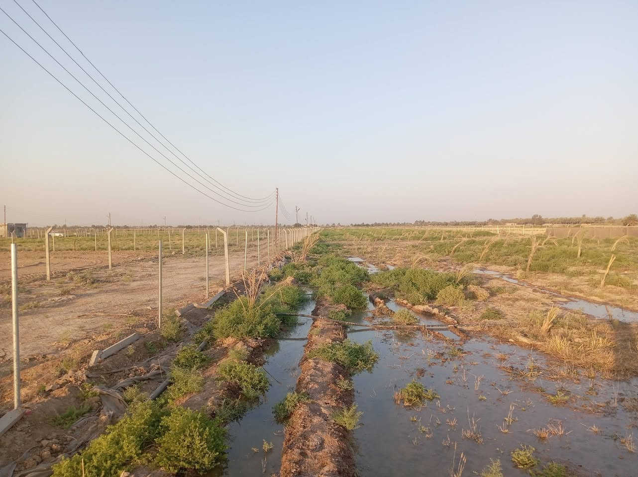 بستان للبيع طابو زراعي سند ٢٥ يقع في الصويرة الغراوية مقاطعه
١٩/٥ الواجهة ٤٠ النزال ٥٥يحتوي مولد ١٦ kv  وعلى ٦٠٠ فسائل نخيل بريم ومكتوم وعلى منظومة ماء سقى بالتقطير يبعد عن حي السلام ٥٠٠م
للاستفسار الاتصال على الرقم
***********
