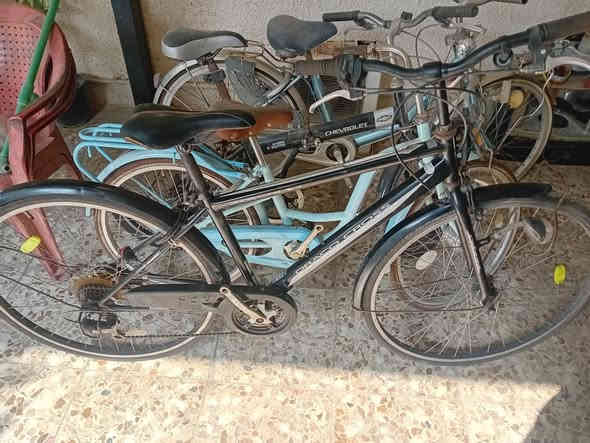 باسكلات حاوية نظيفة جدا .
باسكل رياضي كسر حاوية حجم ٢٧ . 

يتحمل أوزان خفيف جدا .

كير 6x1 شيمانو .

حساس امامي قوي جدا .

بريكات بل مكان .  

قفل خلفي اصلي . 

جاملغات حديد الأصلية . 

السعر ٩٠ الف .

عنوان بغداد البياع شرطة الخامسة قرب مدرسة القادستين مرتضى ابو الباسكلات 
*********** .
