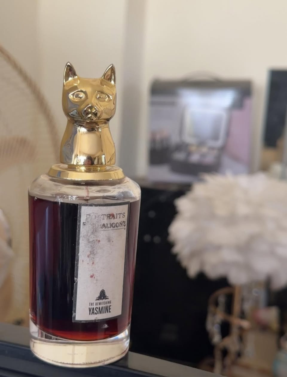 عطور مستعملة للبيع


**إذا كنت صاحب هذا الإعلان وتريد حذفه لأي سبب، رجاءا أرسل رسالة إلى الدعم الفني**