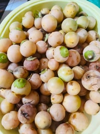 بمبر مجاني • بمبر للثواب • قطع غيار مجانية • قطع غيار سيارات • بمبر سي...