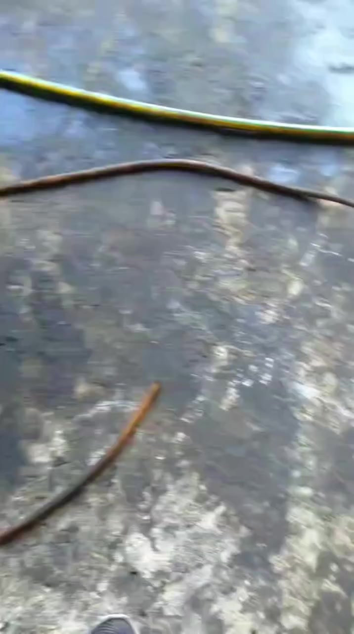 السلام عليكم
اسكانيه دي  اس ٢٠٠ كيفي بيهه خيط بخار 
للبيع او المراوس ابشي اكبر 
بغداد ***********
