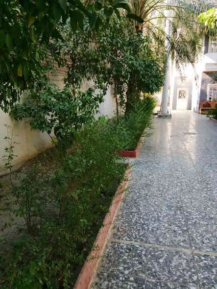 أرض للبيع مساحه ٨٠٠ مع دار 200م طابقين يحتوي على 4 غرف ،،، العنوان  كربلاء الحسينيه قرب فندق الباورن يبعد عن الاامام  كيلو ونص وعن الشارع ١٩٠م ، سند ٢٥تحويل اسهم للاستفسار اكثر الاتصال على الرقم ***********
