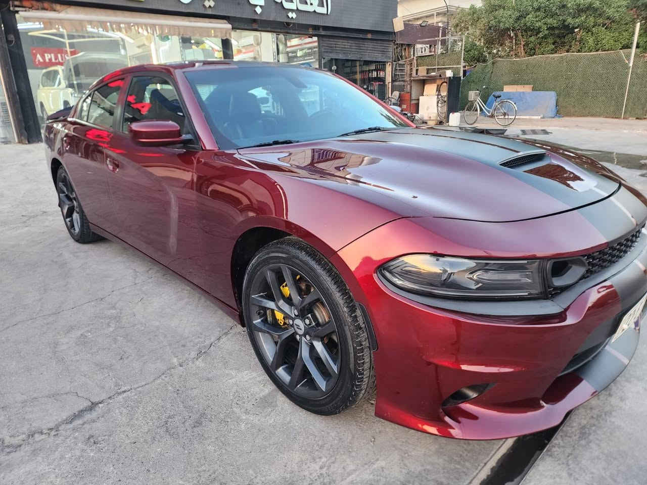 جارجر موديل 2021 Sxt Plus تحويل ثاني يوم رقم اربيل
وارد امريكي قطعتين جاملغ ايمن وبنيد بدون شاصي بدون لغد

ماشية 56 الف ميل حقيقي

فول مواصفات

سلايد فتحة سقف

خزن ميموري

تدفئة وتبريد مقاعد

مقاعد حاضنة

حساسات خلفية

هيترات مرايات جانبية

مري قلابة ويه الرجوع

تحكم ستيرن

تدفئة ستيرن

تحكم مقاعد كهرباء

داخل اسود

شاشة كار بلر

مصروف عليها تبديل تايراات ويل كب4

وتصليح وتحديث دعاميات للsrt والبنيد srt

دخولها وتصليحها ع ايدي رقمها اربيل باسمي

صدر امامي خلفي مبدل قبل كم يوم

وتبديل بلكات وتنظيف منظومة الاحتراق

يعني السيارة جاهزه متصرف عليها شي

مكان السيارة بغداد البنوك
للاستفسار اكثر لاتصال على الرقم : ***********
