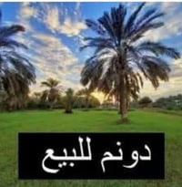 طريق المعاره • ١٥دونم • أرض زراعية