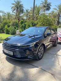 دستروير • ٢٠٢٥ • بدون صبغ