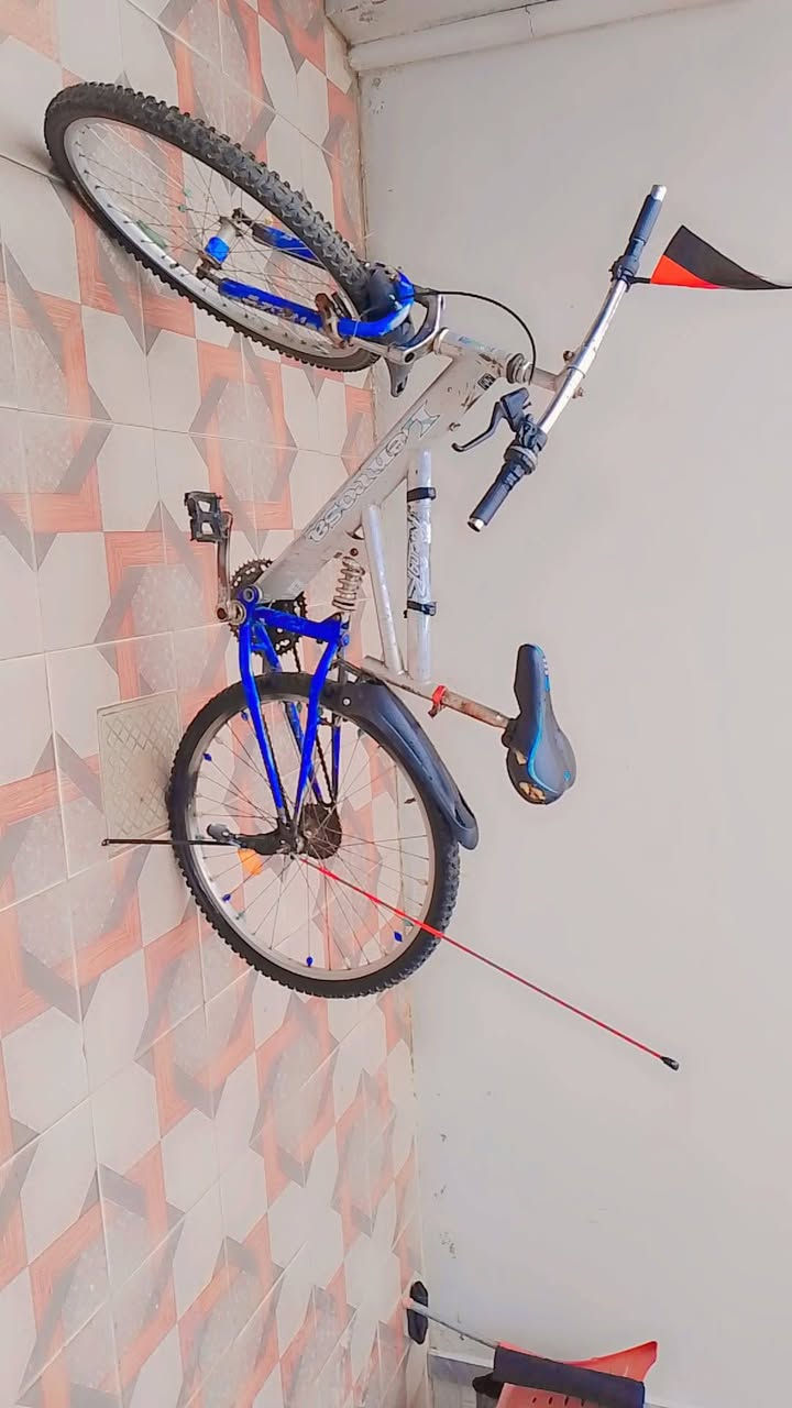 السلام عليكم بايسكل للبيع السعر 45 بي مجال يريد يطب خاص


**إذا كنت صاحب هذا الإعلان وتريد حذفه لأي سبب، رجاءا أرسل رسالة إلى الدعم الفني**