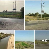 الشيخ عامر • ٥ دوانم • سند وحدهن