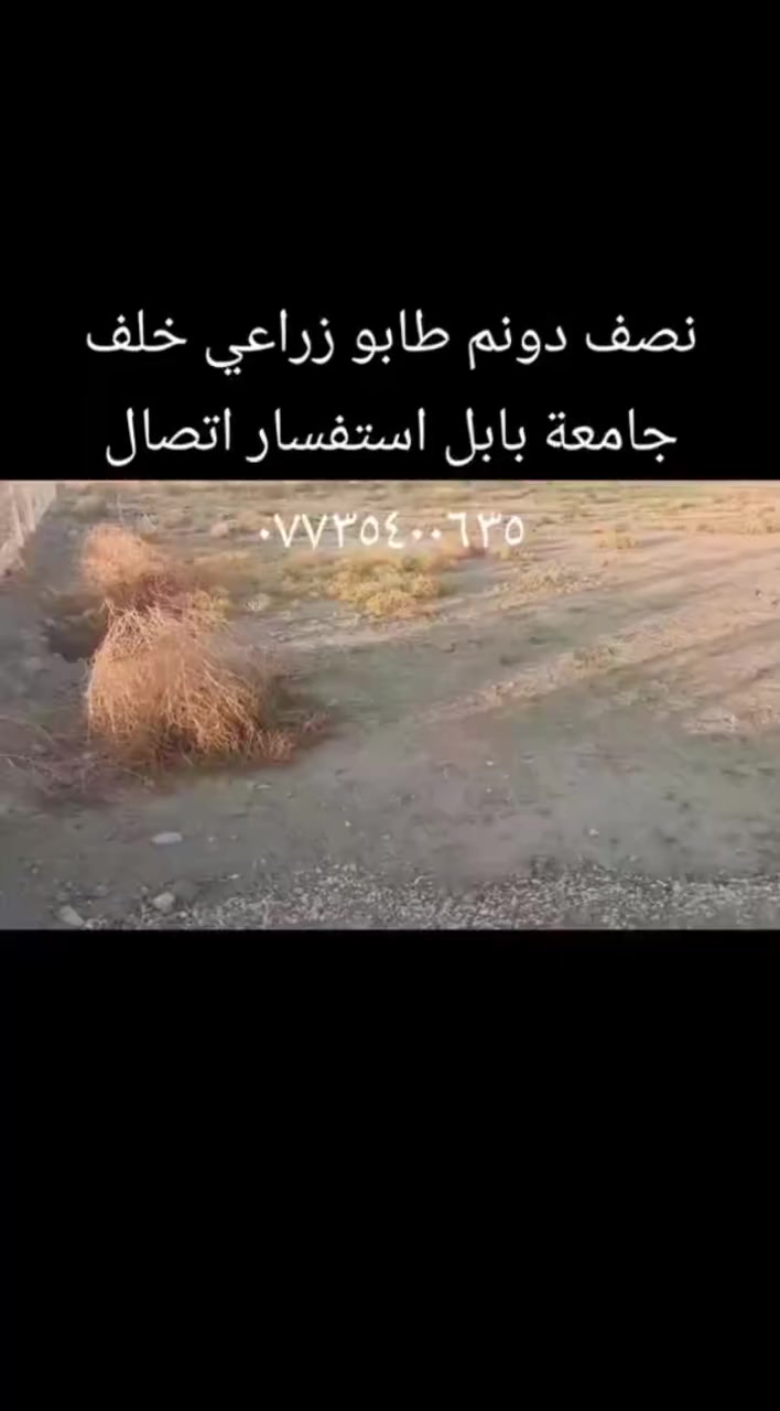 نصف دونم طريق حله نجف خلف جامعة بابل طابو زراعي تحويل مباشر
علما يوجد لدينا قطع وأراضي سكنيه ومساحات مختلفه حسب الطلب خلف جامعة بابل وقرب الإمام بكر
تفاصيل أكثر زورونا في مكتب المستقبل للعقار موقع المكتب قرب الإمام بكر أو اتصال ***********
