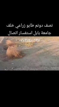 بابل • ١٢٥٠م • طابو زراعي