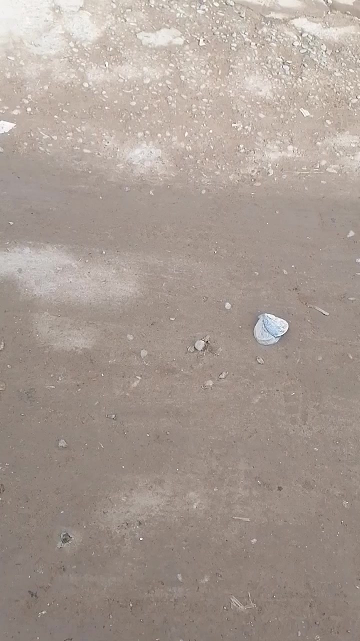 سلام عليكم
دار للبيع منطقة الخمسه والخمسين زراعي 200 متر قاط واحد أو قاط الثاني هيكل مثل ما موضح بالصوره بس الخريطه نفس الجوا قريب على شارع العام جدآ مقابل مسجد لؤي العزي مسجل بلديه او كهرباء او ساعه مي بسمي سعر 75 مليون او بي مجال رقم الموبايل 
***********
