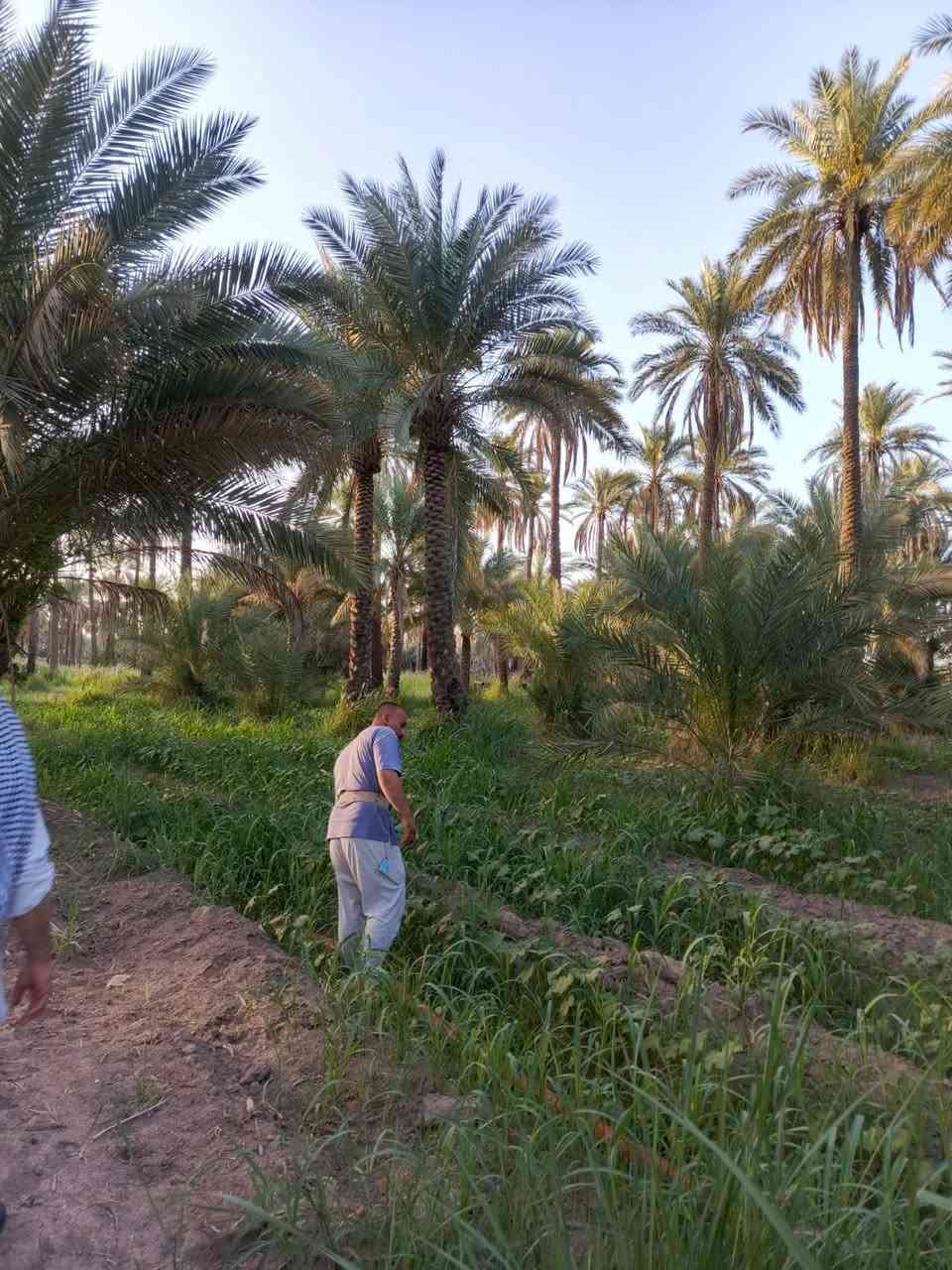 عندي بستان المساحه ٤ونص دونم سند طابو زراعي بسمي على طريق شريفه بنت الحسن تبعد عن الشارع ١٠٠ متر وبيه ماء وكهرباء سعر الدونم ٩٥ مليون منطقة ابي غرق الوسط قريب حسينة سيد شاكر ولادة قريب بيت سيد فارس بيه ١٥٠ نخله


**إذا كنت صاحب هذا الإعلان وتريد حذفه لأي سبب، رجاءا أرسل رسالة إلى الدعم الفني**