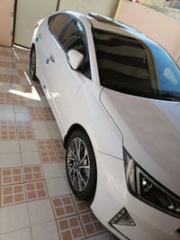 النترا • ٢٠٢٠ • رقم اربيل